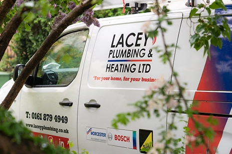 Lacey-job-image van
